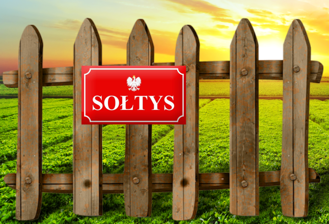 Ja wam sołtysa nie wybierałem!