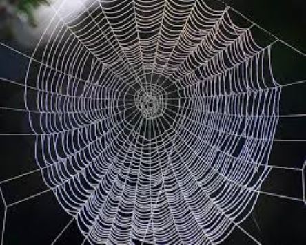 Układ prawie domknięty