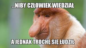 Oni chcą rządzić gminą